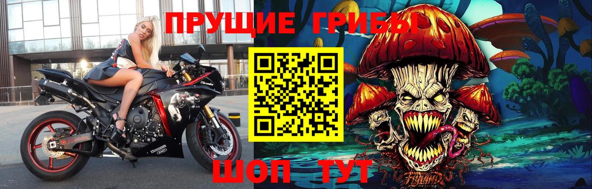 Псилоцибиновые грибы мицелий Обнинск