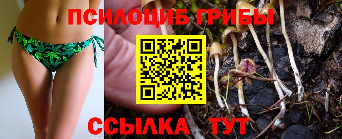 Псилоцибиновые грибы GOLDEN TEACHER  Вход с VPN  Обнинск 