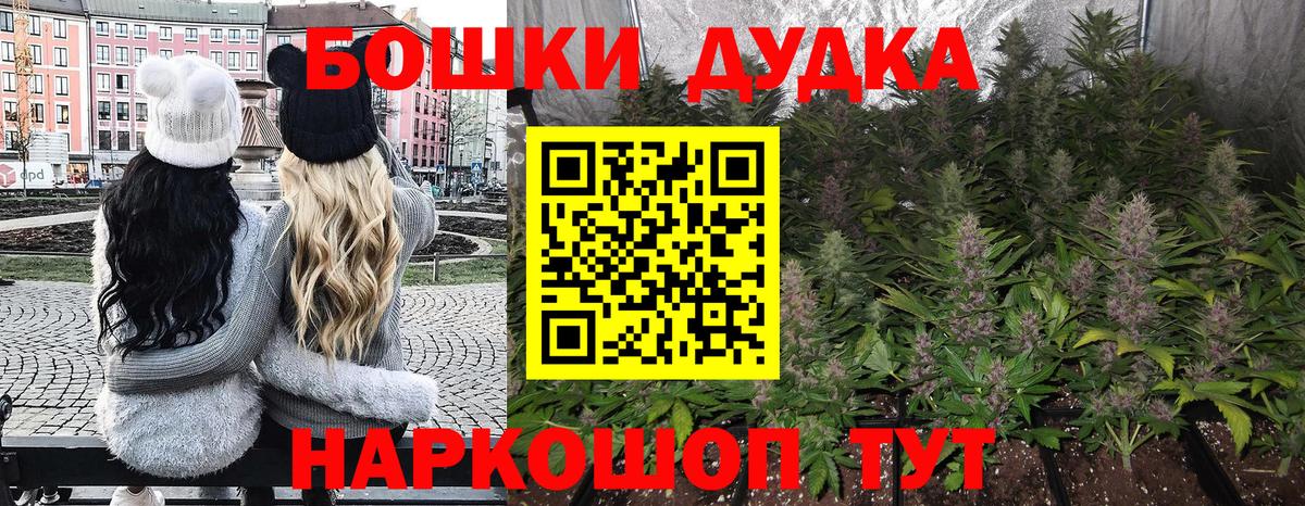 МАРИХУАНА SATIVA & INDICA  Марихуана план  Марихуана индика  Обнинск  Канабис VHQ  Вход с VPN 